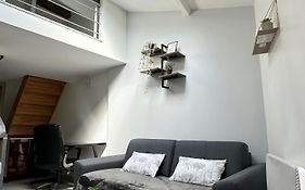 Charmant Duplex en Centre-ville Proche du Puy-du-fouu